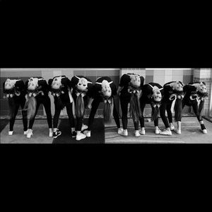 Meet your Posher, Audrey